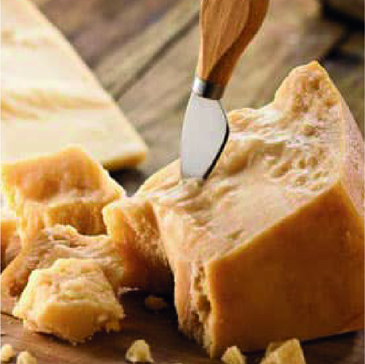 PARMESAN ( KALIP )