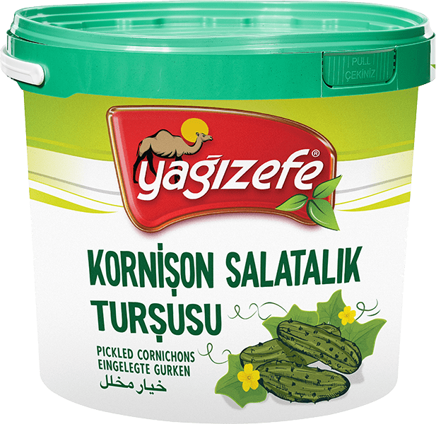 KORNİŞON TURŞU NO : 3